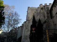 Panoramic view of Avignon with historic buildings and Rhone River