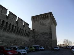 A panoramic view of Avignon highlighting historic buildings and the Rhône river