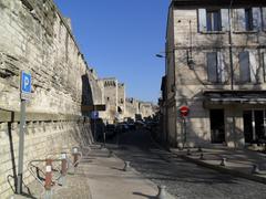 Avignon cityscape with the Rhône River and medieval bridge