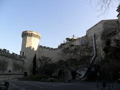 Panoramic view of Avignon with the Rhône River