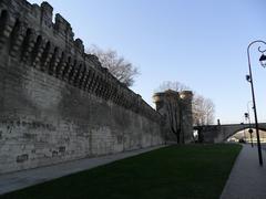 Panoramic view of Avignon with historic buildings