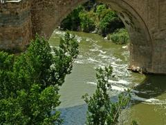 Puente de San Martín in Toledo