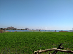 Dharmasagar Lake with surrounding landscape