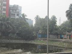 Pond in Kandirpar, Comilla