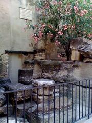 Roman remains at Place de l'Horloge in Avignon