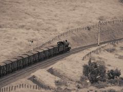 train near a railway signal