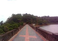 Scenic view of Poomala Dam surrounded by lush greenery