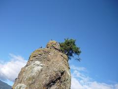 Scenic view of Stanley Park with clear blue sky.