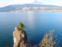 Stanley Park landscape with dense green trees and a clear blue sky