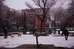 Historic snowfall in Madrid on January 7, 2021