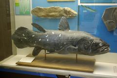 photo of a Latimeria fish monument in Italy, part of cultural heritage