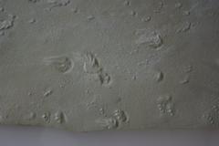 Italian cultural heritage monument with fossil footprints