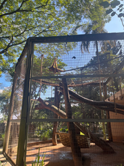 monkey exhibit at Sorocaba Zoo