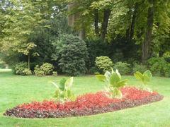 colorful flower bed with various blooming flowers in a garden