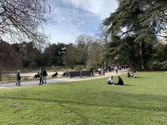 Parc Montsouris in Paris on a clear day with trees and walking path