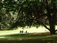 Parc Montsouris in Paris on a sunny day