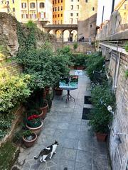 Largo di Torre Argentina in Rome, Italy