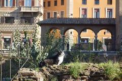 Historic ruins at Largo di Torre Argentina in Rome, Italy