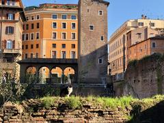 Largo di Torre Argentina in Rome, Italy with ruins and historic architecture