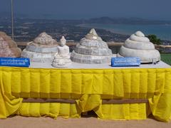 Components of the hair strands of the Buddha of Phuket