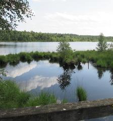 bridge between small and Grundloser See in Grundloses Moor Nature Reserve