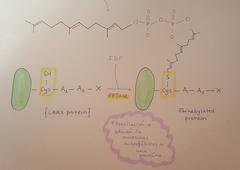 chemical reaction of the enzyme farnesyltransferase