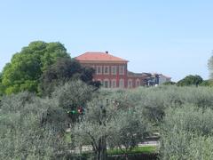 Le Musée Matisse panoramic view