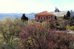 Matisse Museum in spring with blooming Judas trees