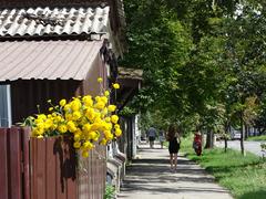 street scene with flowers in Poltava, Ukraine