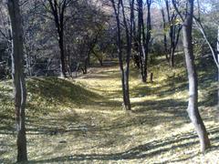 Nature ravine in Sady-1 neighborhood, Poltava, October 29, 2015