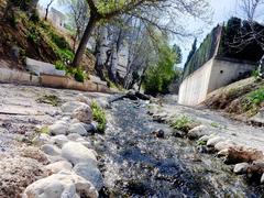 Riachuelo en las calles de Fontanar, Jaén