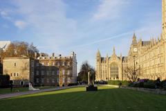 College Green in Westminster, London