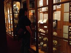 Mütter Museum exhibit with medical artifacts