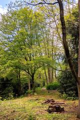 Hammer Park in Hamburg-Hamm with tree path at the south slope of the sledding hill in spring 2020