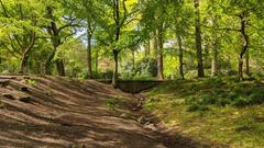 Hammer Park stream in Hamburg during spring 2020