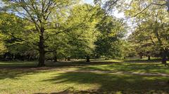 Große Wiese im Hammer Park