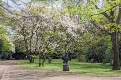 A tree with pink magnolia blossoms in Hammer Park, Hamburg in spring 2020