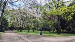 Flowering magnolias in Hammer Park, Hamburg