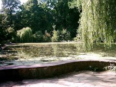 Duck pond in Hammer Park, Hamburg