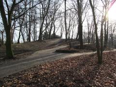 Hammer Park Weinberg in winter used as sledding hill