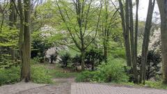 Hammer Park in Hamburg-Hamm with view from Weinberg towards Magnolienwiese in spring 2020