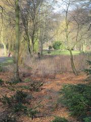 dried creek bed in Hammer Park, Hamburg-Hamm