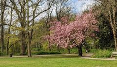 Hammer Park in Hamburg-Hamm with northern lawn near the duck pond in spring 2020