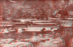 Anaglyphen stereophoto of Hortus in Amsterdam with blooming Victoria Regia, 1924