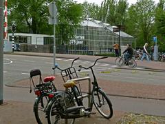 Botanical Garden of Amsterdam with large greenhouse