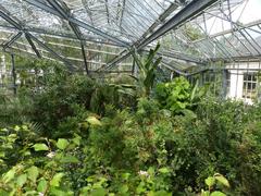 De Plantage at Hortus Botanicus Amsterdam