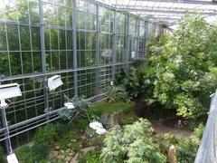 De Plantage in Hortus Botanicus Amsterdam