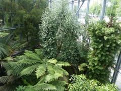 De Plantage in the Hortus Botanicus Amsterdam on a summer day