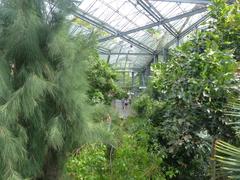 De Plantage in Hortus Botanicus Amsterdam with lush greenery