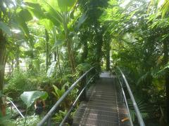 De Plantage Hortus Botanicus Amsterdam